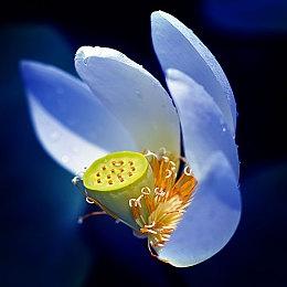 毁灭战士+后视镜 FPS《地狱镜》现已推出抢先体验